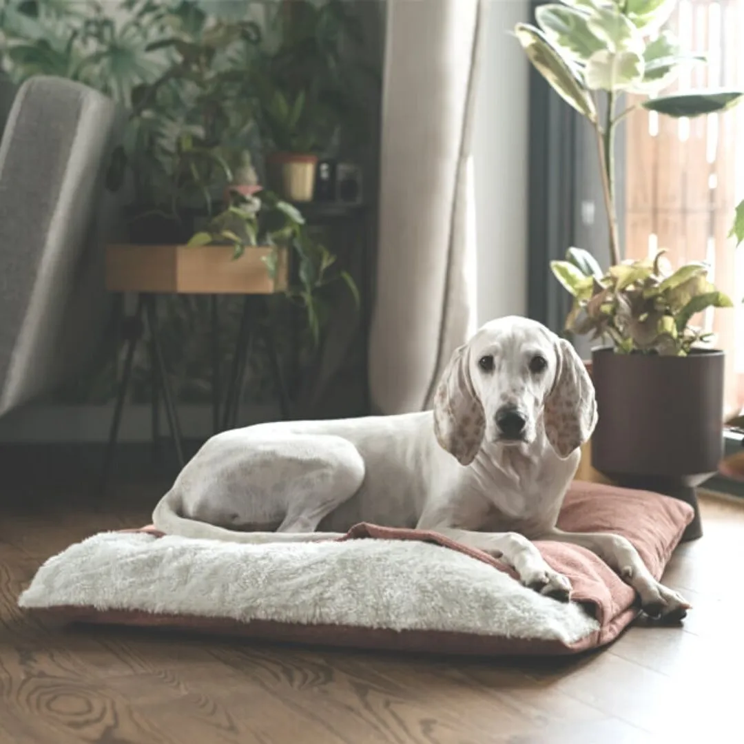 Bowl and Bone Bliss Dog Sleeping Bag Pink