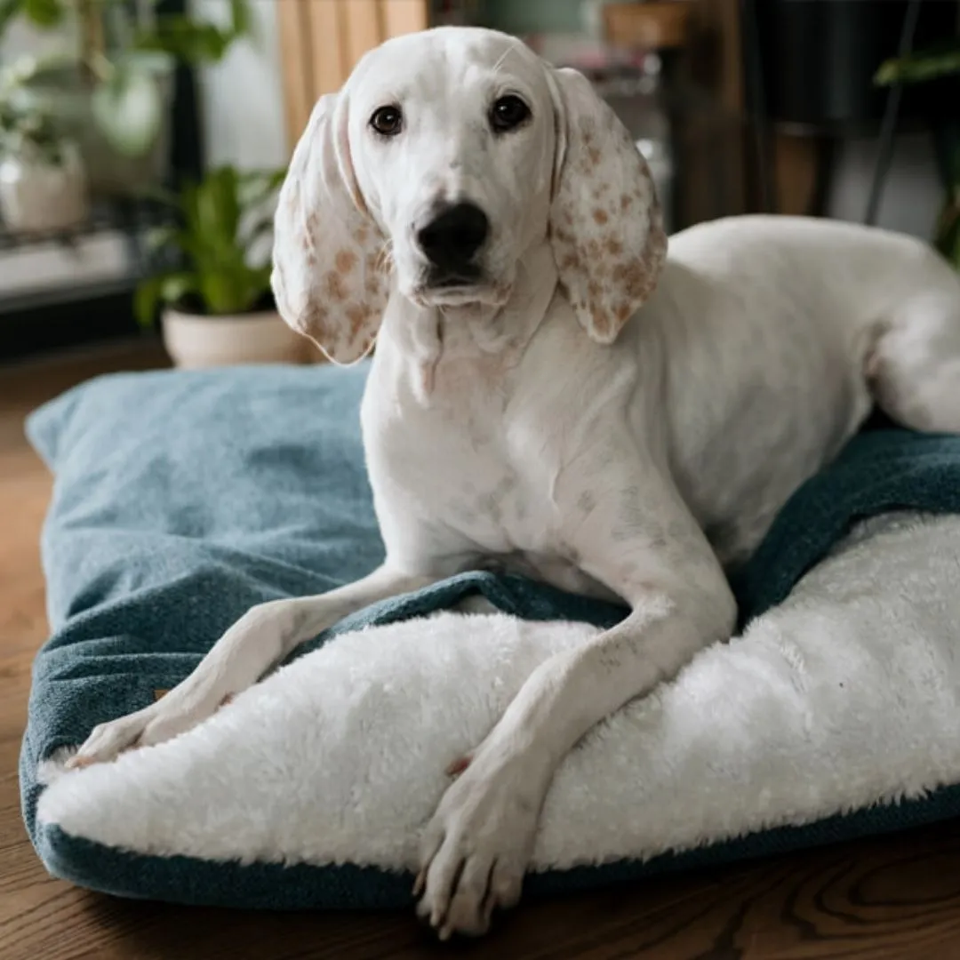 Bowl and Bone Bliss Dog Sleeping Bag Pink