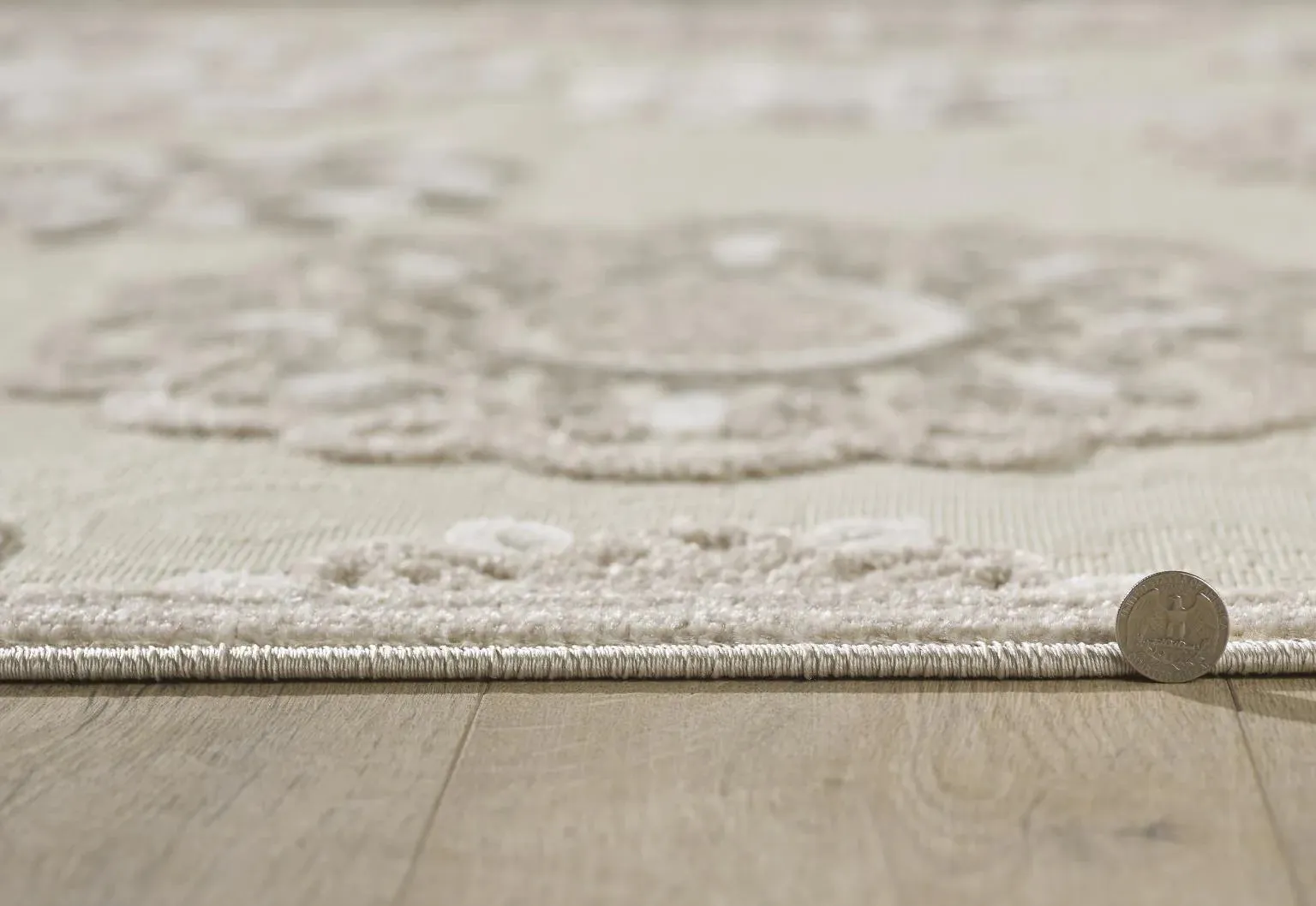 Calla 6933 Taupe Suzani Rug