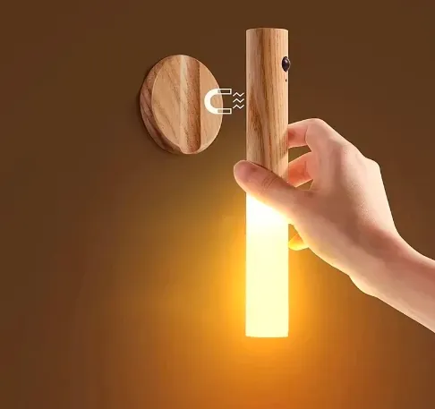 Magnetic Induction Light