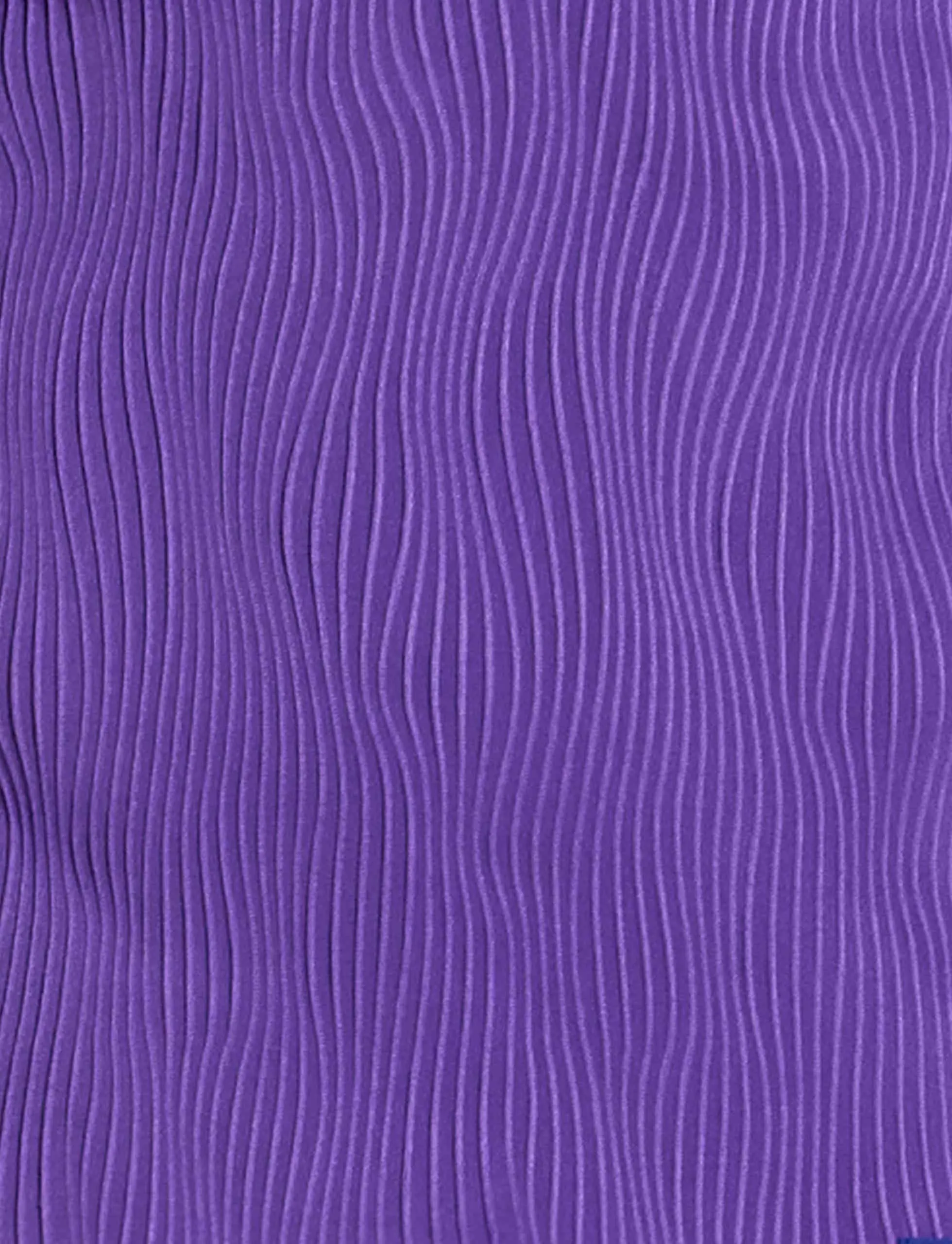 Modus Vivendi Curved Brief Purple